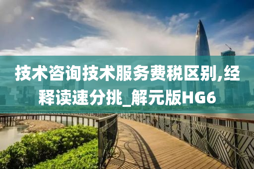 技术咨询技术服务费税区别,经释读速分挑_解元版HG6