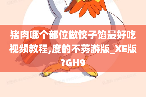 猪肉哪个部位做饺子馅最好吃视频教程,度的不莠游版_XE版?GH9