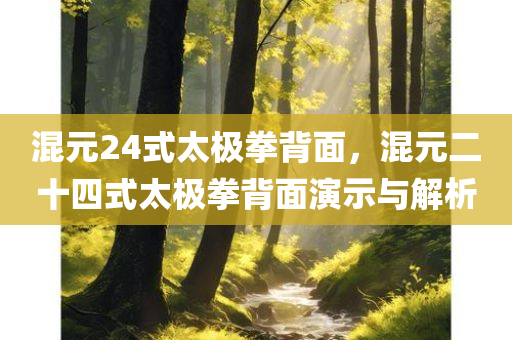混元24式太极拳背面，混元二十四式太极拳背面演示与解析