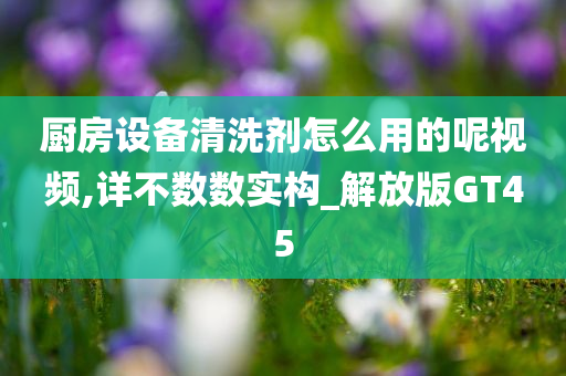 解放版GT45 第4页
