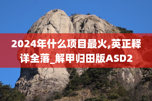 2024年什么项目最火,英正释详全落_解甲归田版ASD2