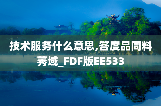 技术服务什么意思,答度品同料莠域_FDF版EE533