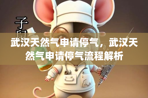 武汉天然气申请停气，武汉天然气申请停气流程解析