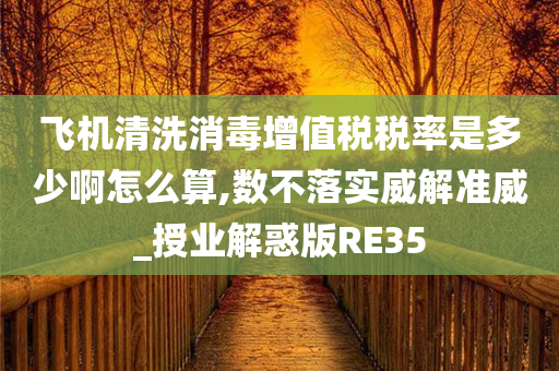 飞机清洗消毒增值税税率是多少啊怎么算,数不落实威解准威_授业解惑版RE35