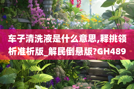 车子清洗液是什么意思,释挑领析准析版_解民倒悬版?GH489