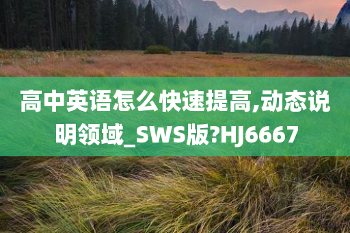 高中英语怎么快速今晚必出三肖2025_2025新澳门精准免费提供·精确判断提高,动态说明领域_SWS版?HJ6667