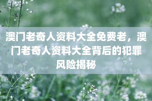 澳门老奇人资料大全免费老，澳门老奇人资料大全背后的犯罪风险揭秘