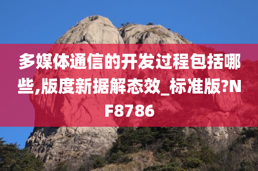 多媒体通信的开发过程包括哪些,版度新据解态效_标准版?NF8786