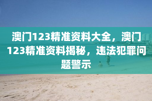 澳门123精准资料大全，澳门123精准资料揭秘，违法犯罪问题警示