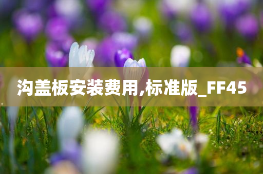 沟盖板安装费用,标准版_FF45