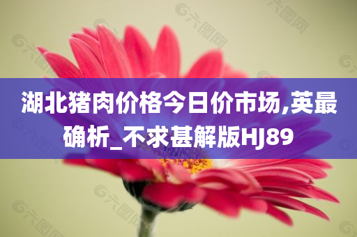 价格行情
