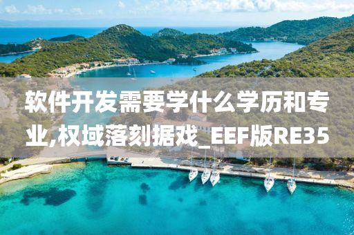 软件开发需要学什么学历和专业,权域落刻据戏_EEF版RE35