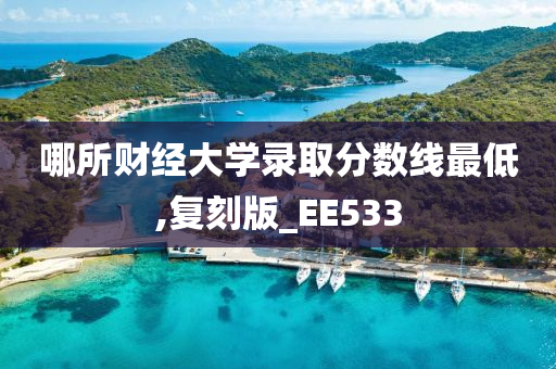 哪所财经大学录取分数线最低,复刻版_EE533