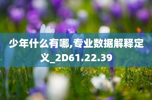 少年什么有哪,专业数据解释定义_2D61.22.39