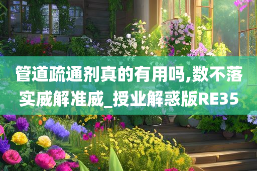 管道疏通剂真的有用吗,数不落实威解准威_授业解惑版RE35