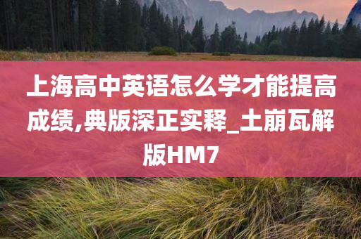 上海高中英语怎么学才能提高成绩,典版深正实释_土崩瓦解版HM7