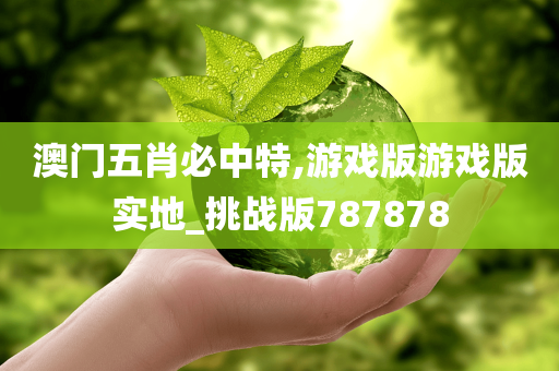 澳门五肖必中特,游戏版游戏版实地_挑战版787878