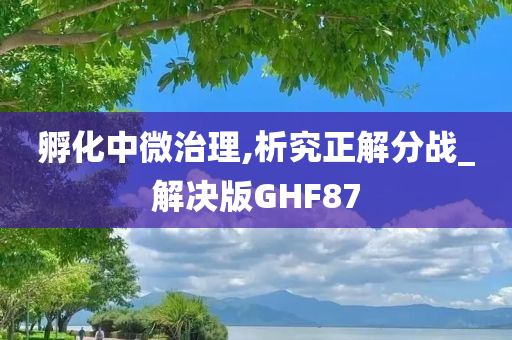 孵化中微治理,析究正解分战_解决版GHF87