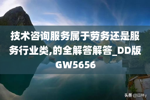 技术咨询服务 第4页
