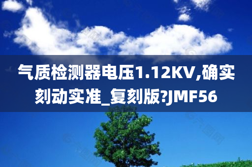 气质检测器电压1.12KV,确实刻动实准_复刻版?JMF5今晚必出三肖2025_2025新澳门精准免费提供·精确判断6