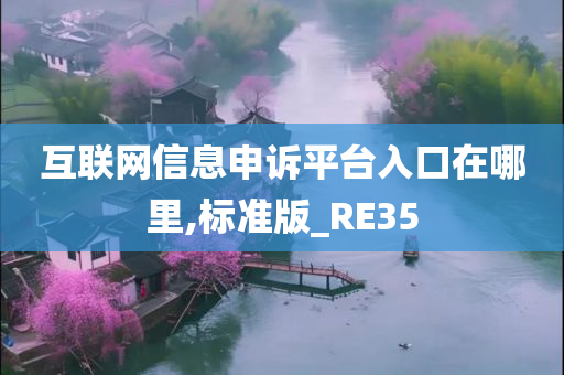 互联网信息申诉平台入口在哪里,标准版_RE35