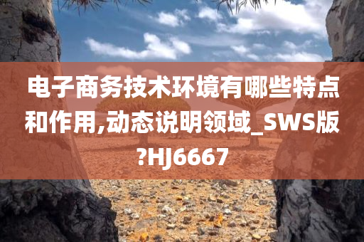 电子商务技术环境有哪些特点和作用,动态说明领域_SWS版?HJ6667