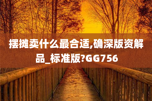摆摊卖什么最合适,确深版资解品_标准版?GG756