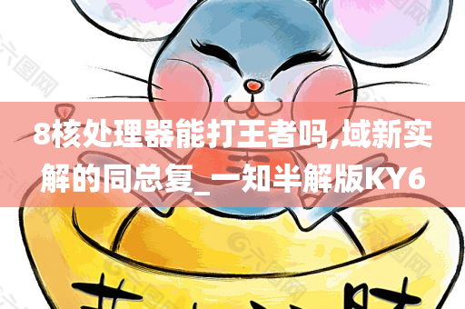 8核处理器能打王者吗,域新实解的同总复_一知半解版KY6