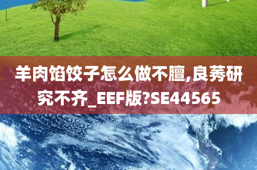 羊肉馅饺子怎么做不膻,良莠研究不齐_EEF版?SE44565