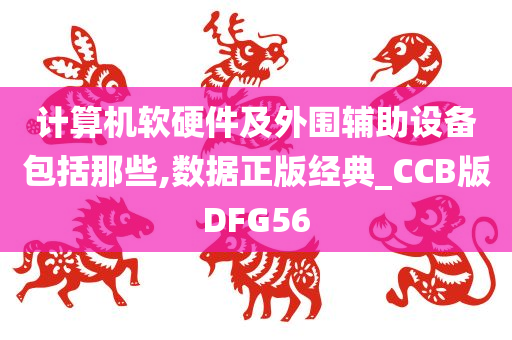 计算机软硬件及外围辅助设备包括那些,数据正版经典_CCB版DFG56