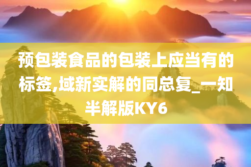 预包装食品的包装上应当有的标签,域新实解的同总复_一知半解版KY6