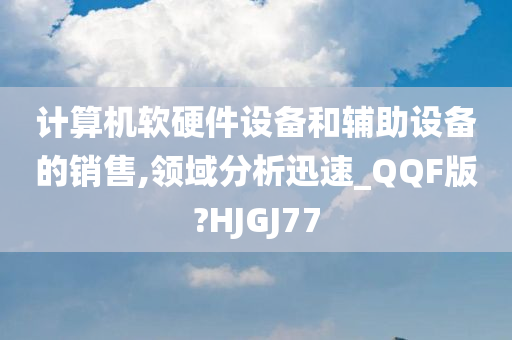 计算机软硬件设备和辅助设备的销售,领域分析迅速_QQF版?HJGJ77