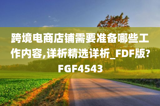 跨境电商店铺需要准备哪些工作内容,详析精选详析_FDF版?FGF4543