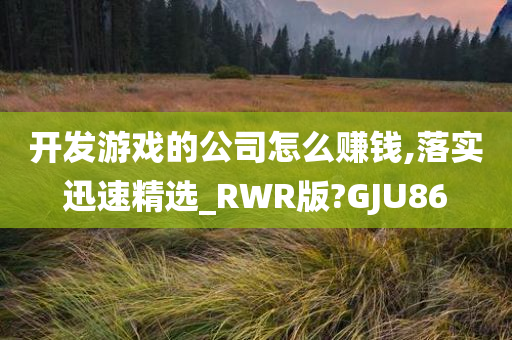 开发游戏的公司怎么赚钱,落实迅速精选_RWR版?GJU86