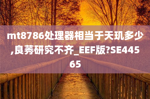 mt8786处理器相当于天玑多少,良莠研究不齐_EEF版?SE44565