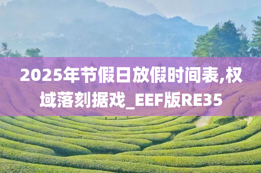 2025年节假日放假时间表,权域落刻据戏_EEF版RE35