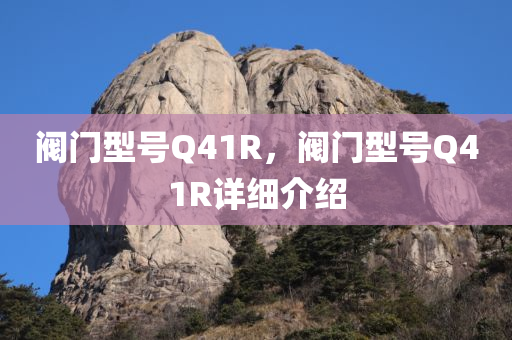 阀门型号Q41R，阀门型号Q41R详细介绍
