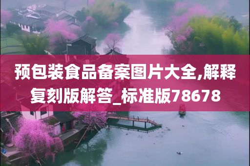 预包装食品备案图片大全,解释复刻版解答_标准版78678