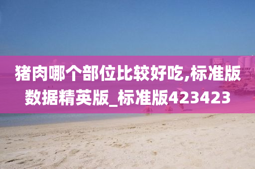 猪肉哪个部位比较好吃,标准版数据精英版_标准版423423