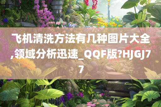 飞机清洗方法有几种图片大全,领域分析迅速_QQF版?HJGJ77
