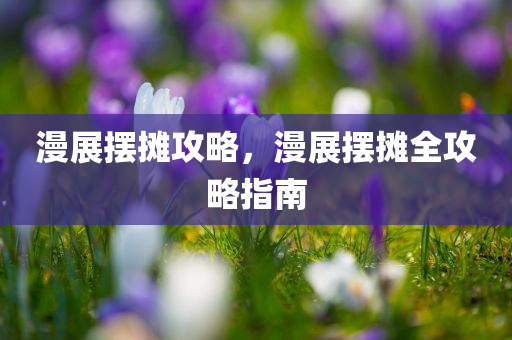 漫展摆摊攻略，漫展摆摊全攻略指南