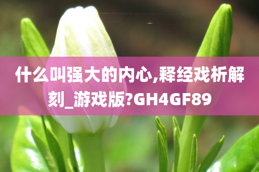 什么叫强大的内心,释经戏析解刻_游戏版?GH4GF89