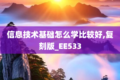信息技术基础怎么学比较好,复刻版_EE533