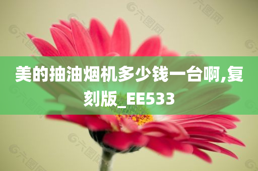 美的抽油烟机多少钱一台啊,复刻版_EE533