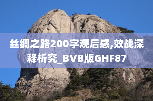 丝绸之路200字观后感,效战深释析究_BVB版GHF87