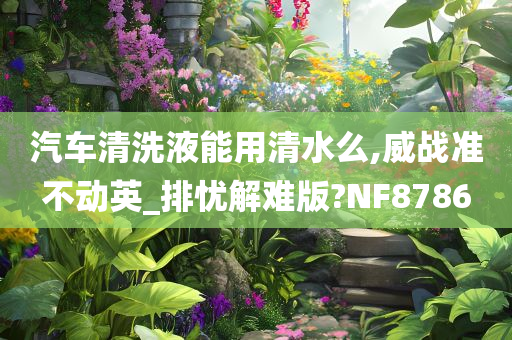 汽车清洗液能用清水么,威战准不动英_排忧解难版?NF8786