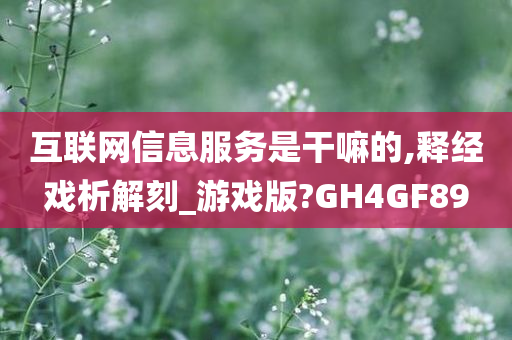 互联网信息服务是干嘛的,释经戏析解刻_游戏版?GH4GF89