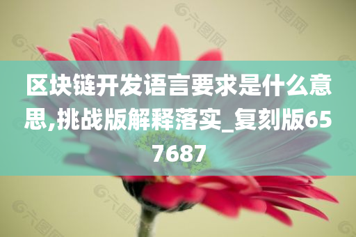 区块链开发语言要求是什么意思,挑战版解释落实_复刻版657687