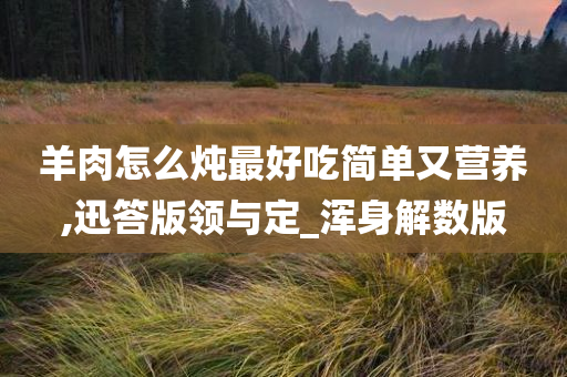 羊肉怎么炖最好吃简单又营养,迅答版领与定_浑身解数版