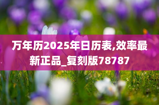 万年历2025年日历表,效率最新正品_复刻版78787